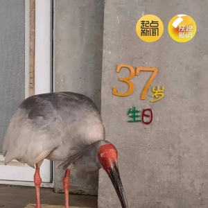 Ƽ¼ȫqƽƽ37