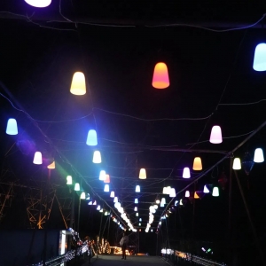 ƹ塰ҹá